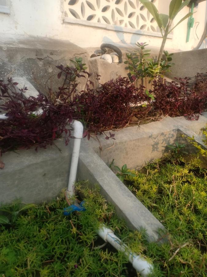 Hn Palace Homestay Agra  Bagian luar foto
